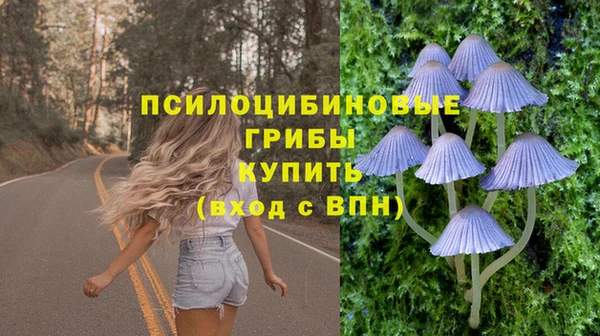 apvp Балабаново