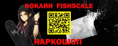 крисы Вязьма