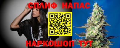 крисы Вязьма
