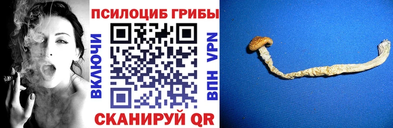 цена наркотик  Борисоглебск  Псилоцибиновые грибы мицелий 