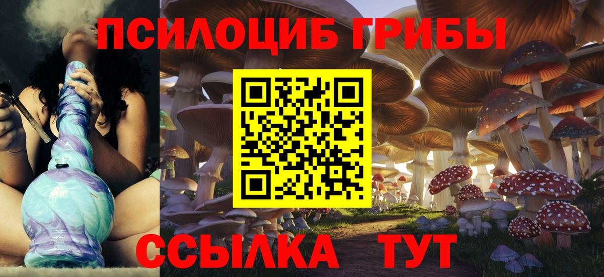 Галлюциногенные грибы Cubensis Борисоглебск